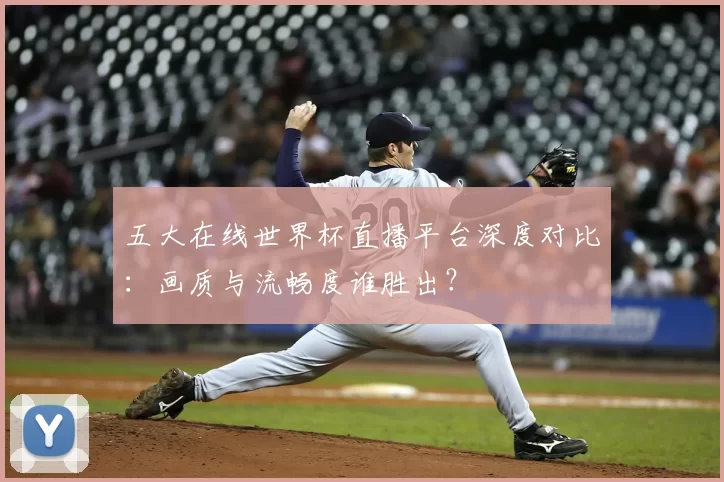 五大在线世界杯直播平台深度对比：画质与流畅度谁胜出？