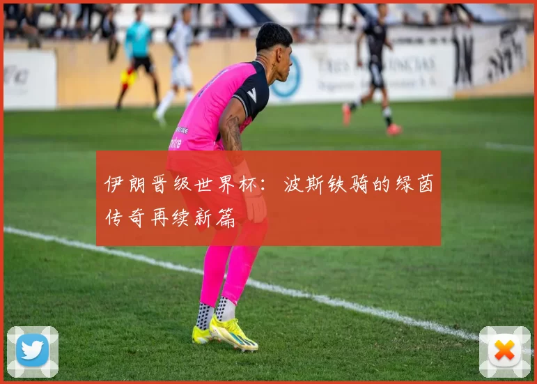 伊朗晋级世界杯：波斯铁骑的绿茵传奇再续新篇