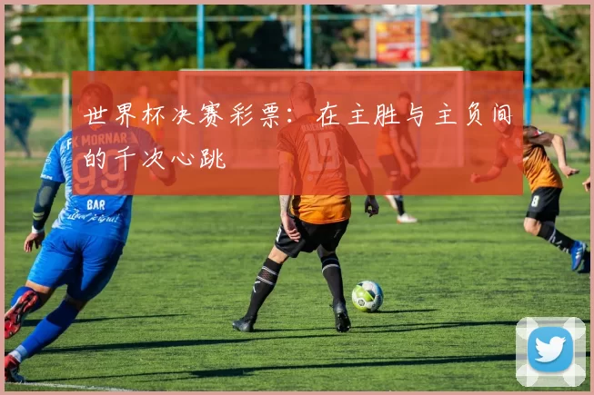 世界杯决赛彩票：在主胜与主负间的千次心跳