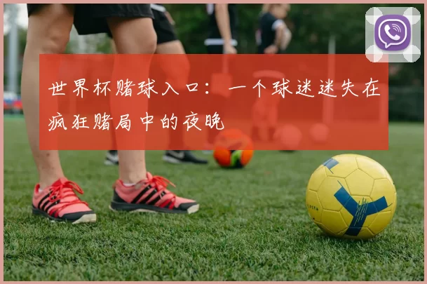 世界杯赌球入口：一个球迷迷失在疯狂赌局中的夜晚