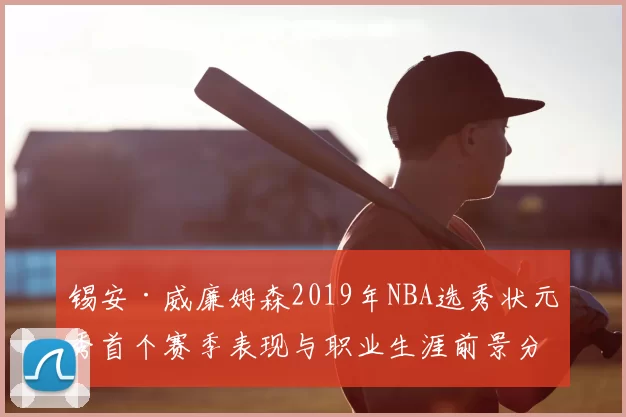 锡安·威廉姆森2019年NBA选秀状元秀首个赛季表现与职业生涯前景分析