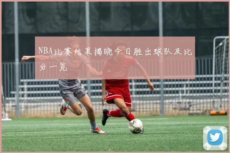 NBA比赛结果揭晓今日胜出球队及比分一览