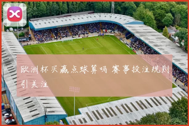 欧洲杯买赢点球算吗 赛事投注规则引关注