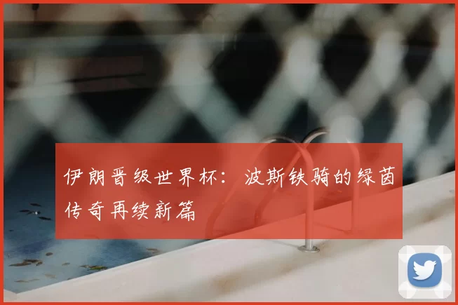 伊朗晋级世界杯:波斯铁骑的绿茵传奇再续新篇